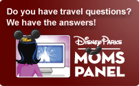 Moms Panel- Disney Parks